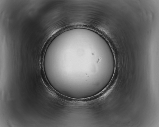 X0000087351113200704200758