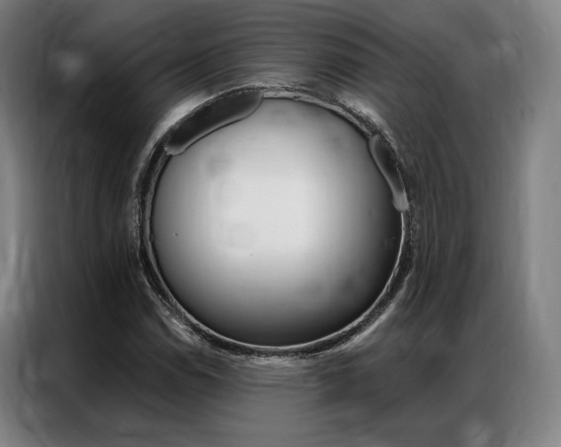X0000087351114200704200758