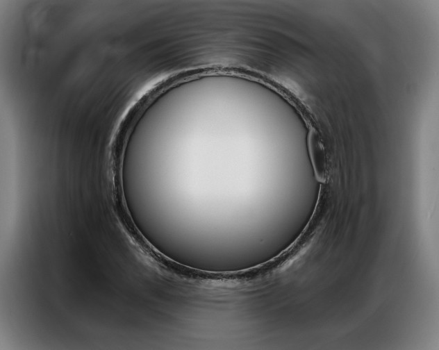 X0000087351118200704200758