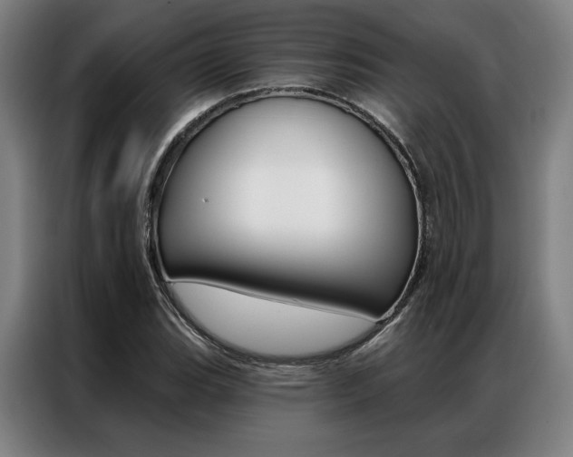 X0000087351119200704200758