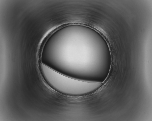 X0000087351120200704200758
