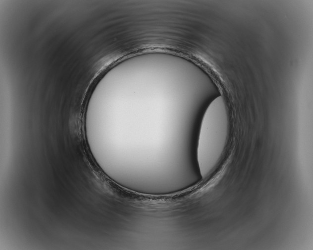 X0000087351121200704200758