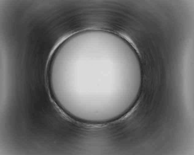 X0000087351122200704200758