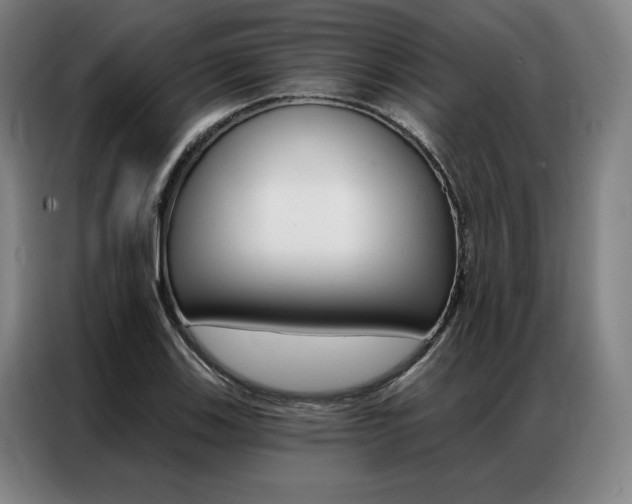 X0000087351123200704200758