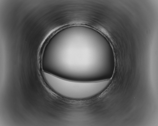 X0000087351124200704200759
