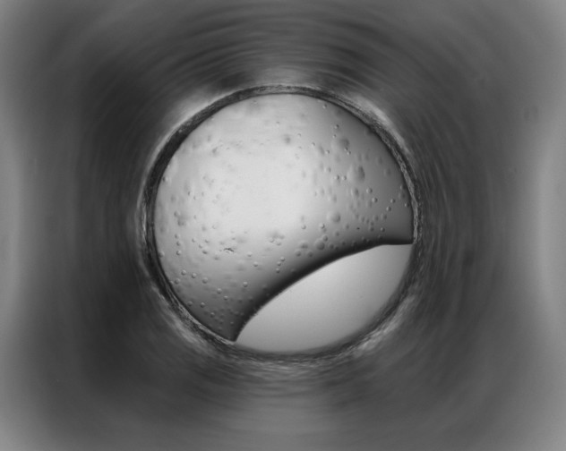 X0000087351125200704200759