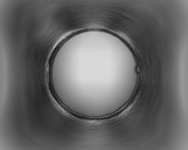X0000087351126200704200759