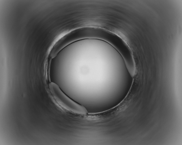 X0000087351128200704200759