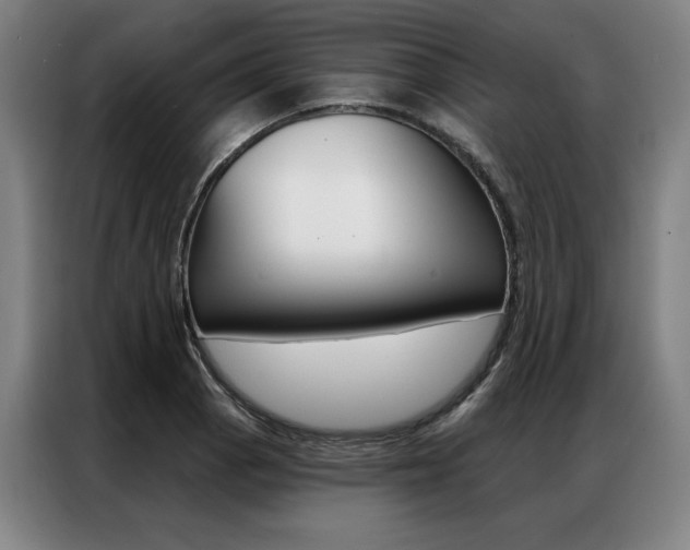 X0000087351129200704200759
