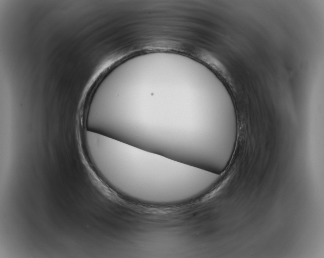 X0000087351130200704200759