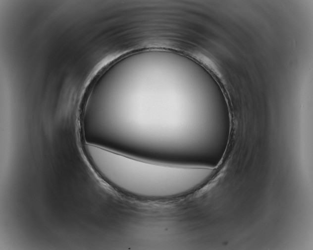 X0000087351133200704200759