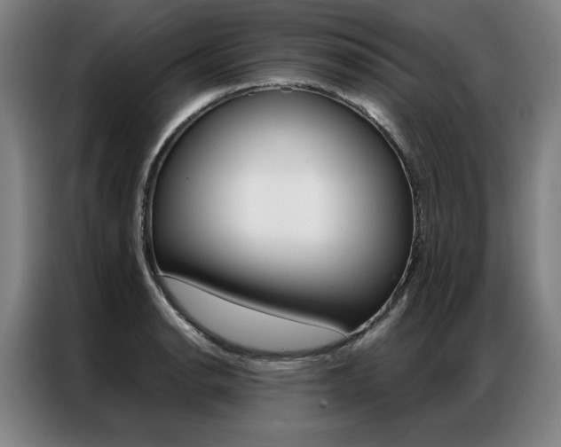 X0000087351134200704200759