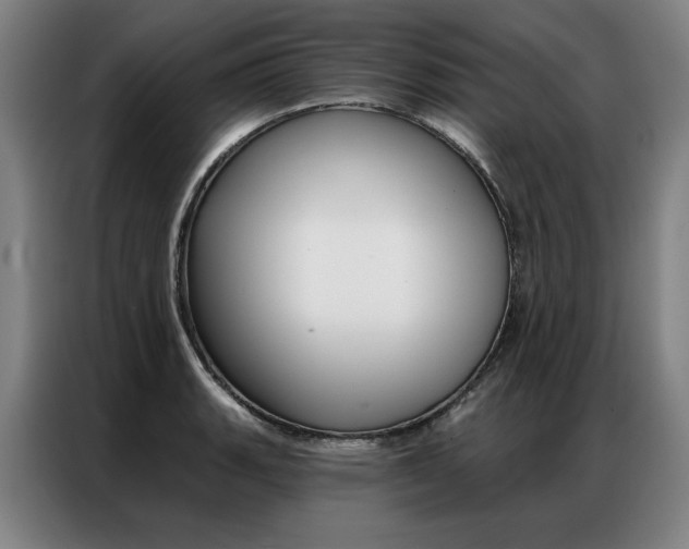 X0000087351135200704200759