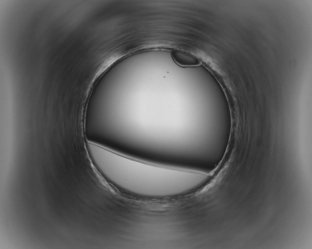 X0000087351137200704200759