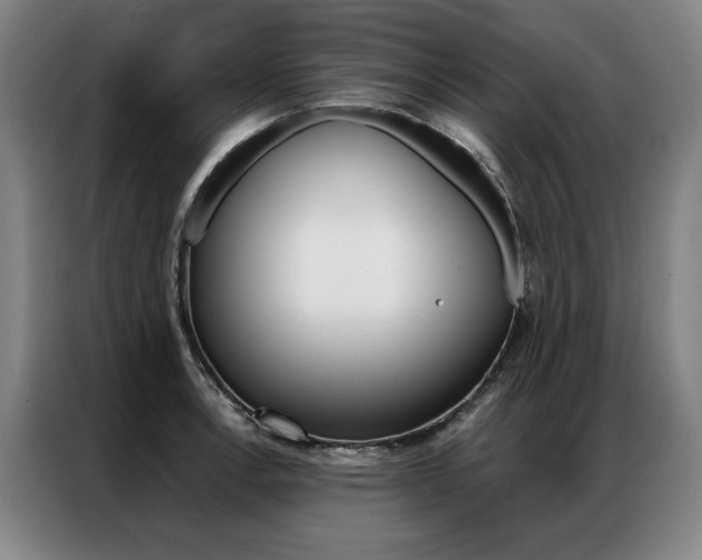 X0000087351138200704200759