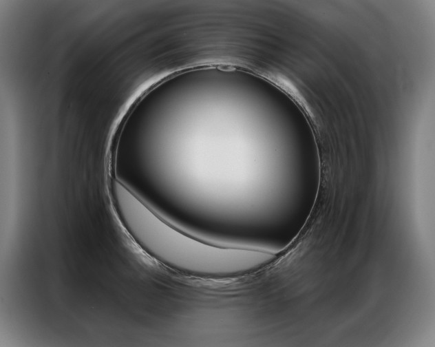 X0000087351140200704200759
