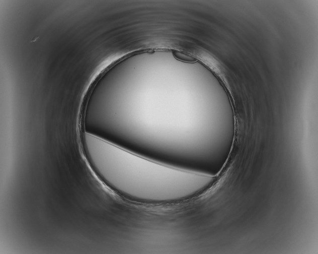 X0000087351141200704200759