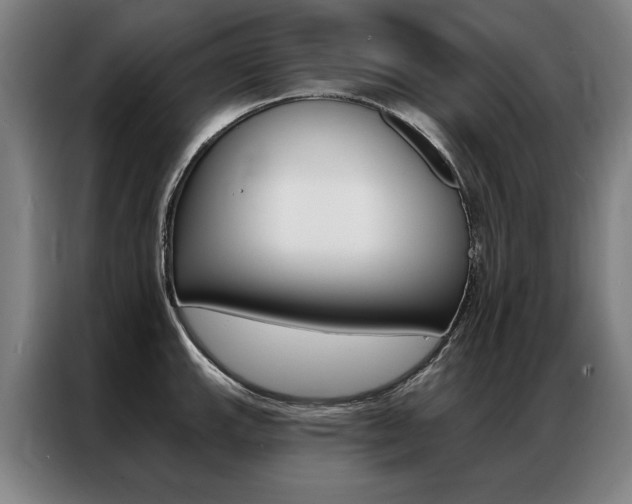 X0000087351143200704200759