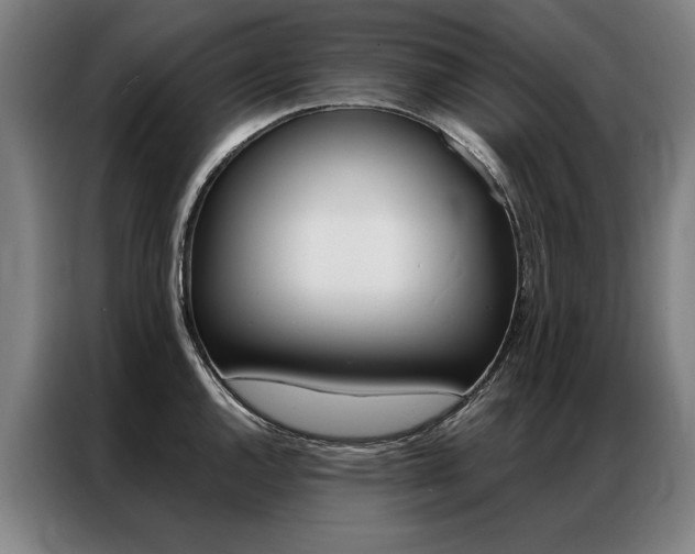 X0000087351144200704200759