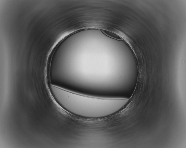 X0000087351147200704200759
