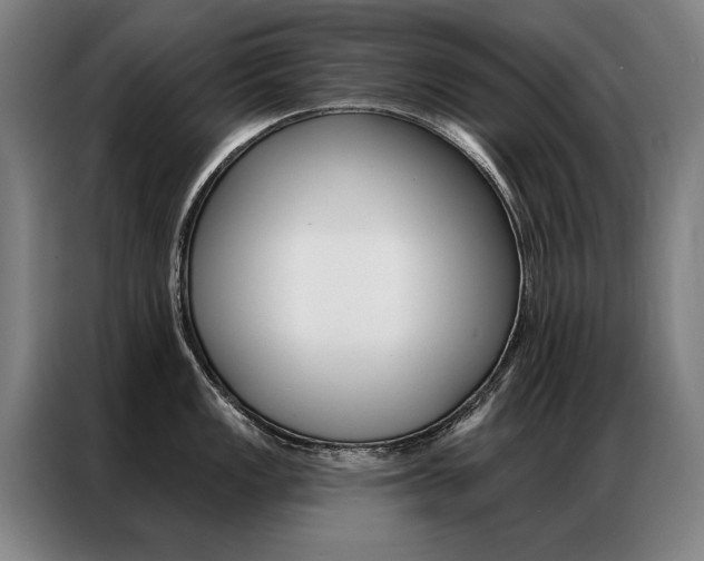 X0000087351149200704200759