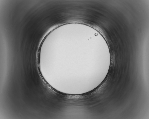 X0000087351150200704200759