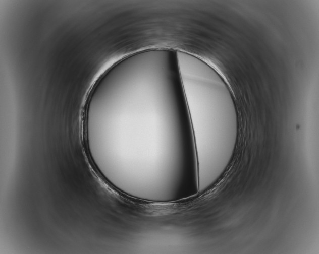 X0000087351151200704200759