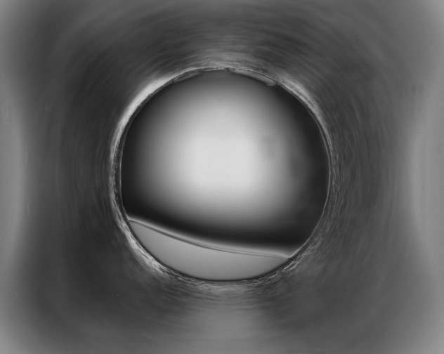 X0000087351152200704200759