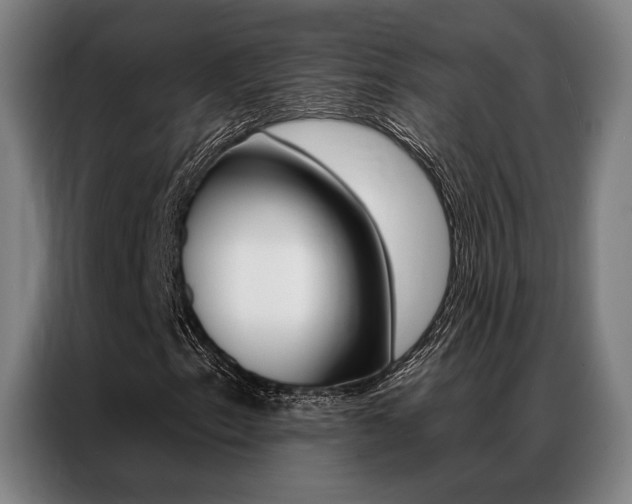 X0000087351153200704200758