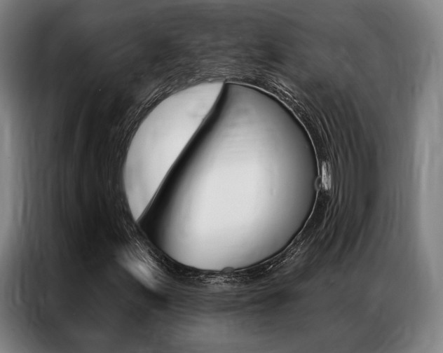 X0000087351155200704200758