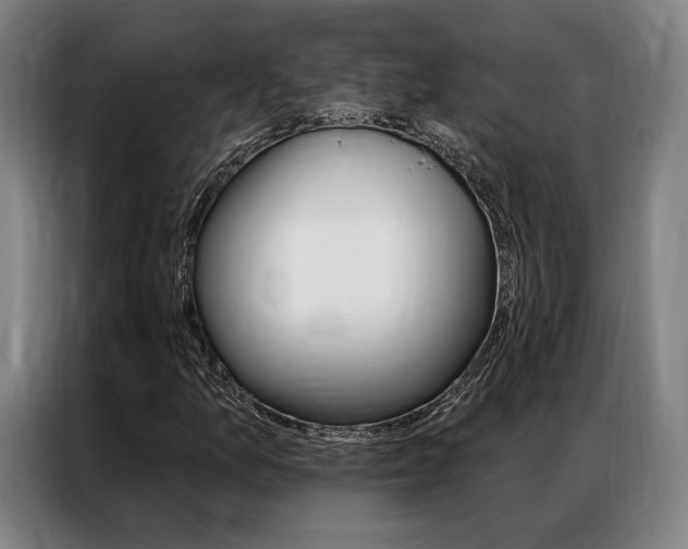 X0000087351157200704200758