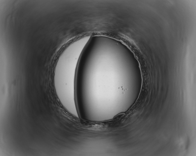 X0000087351160200704200758