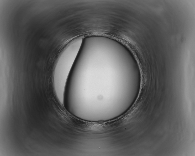 X0000087351161200704200758