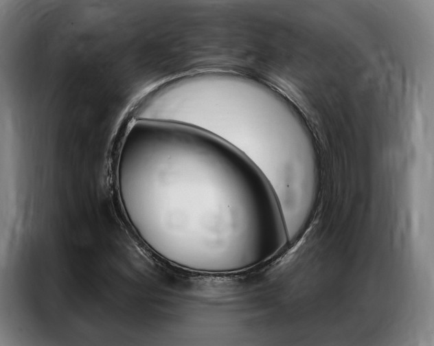 X0000087351164200704200758