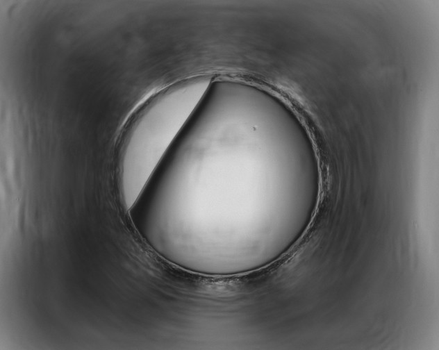 X0000087351165200704200758