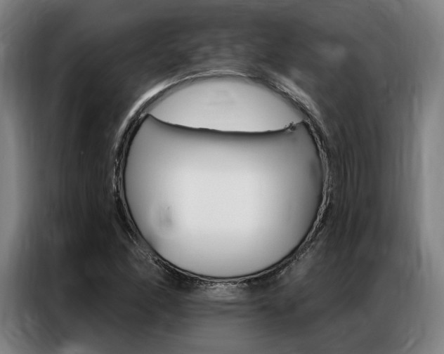 X0000087351166200704200758