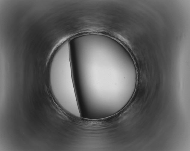 X0000087351171200704200758