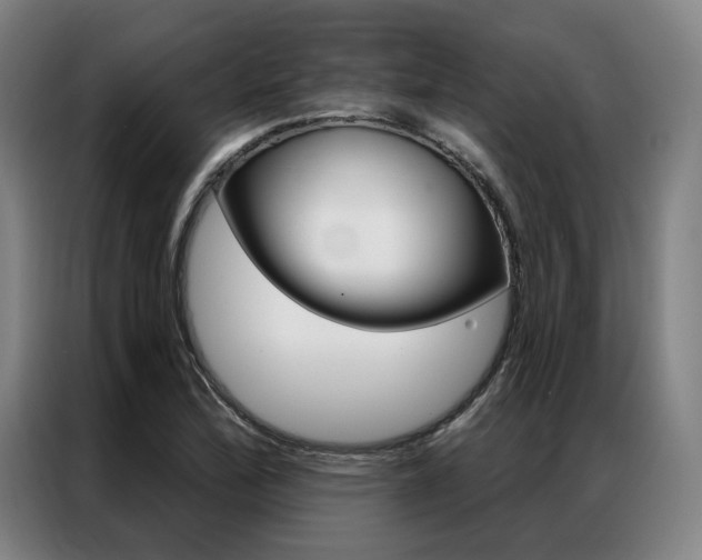 X0000087351172200704200758