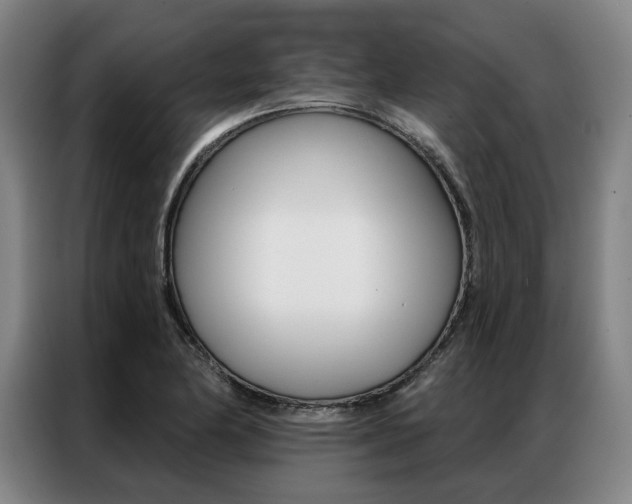 X0000087351174200704200758