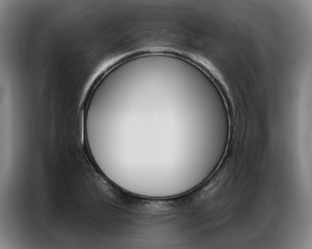 X0000087351175200704200758