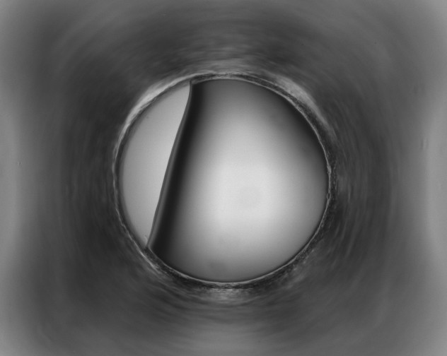 X0000087351176200704200758