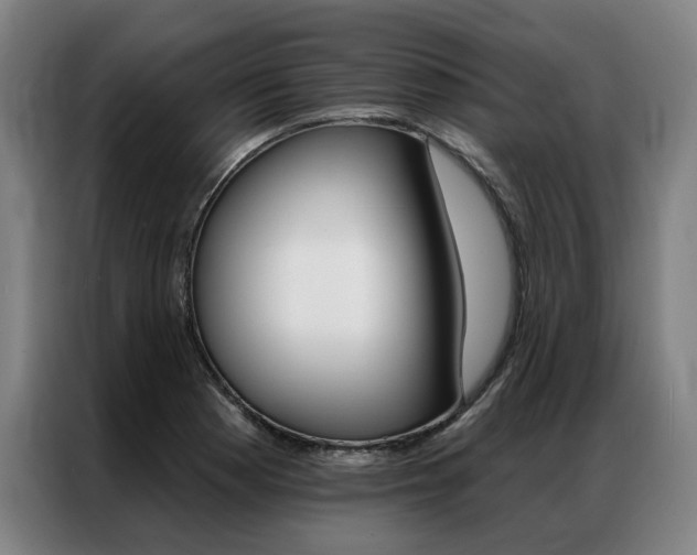 X0000087351177200704200758