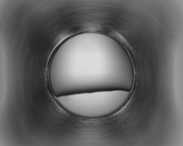 X0000087351178200704200758