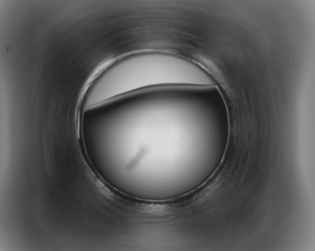 X0000087351180200704200758