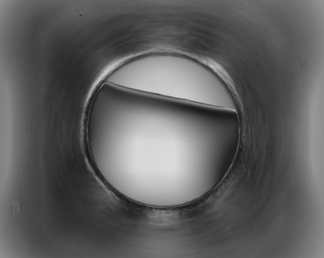 X0000087351183200704200758
