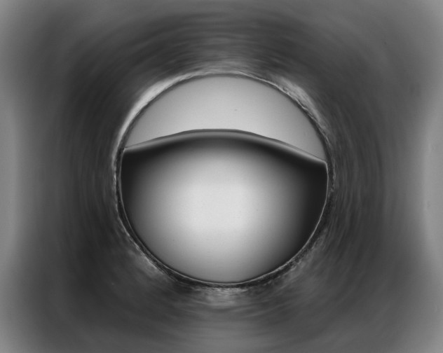 X0000087351184200704200758