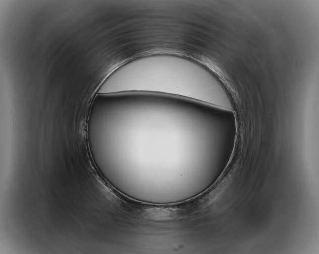 X0000087351185200704200758