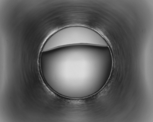X0000087351189200704200758
