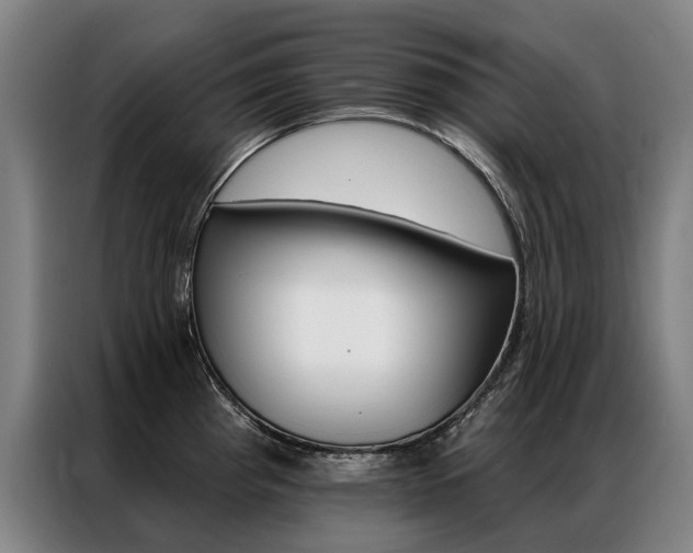 X0000087351193200704200758