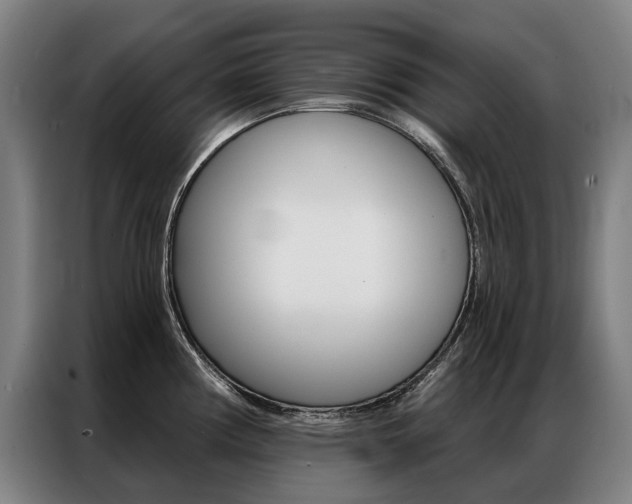 X0000087351194200704200758